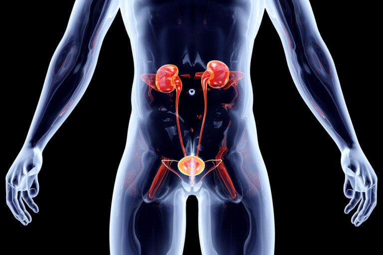 Kidney Function and Location