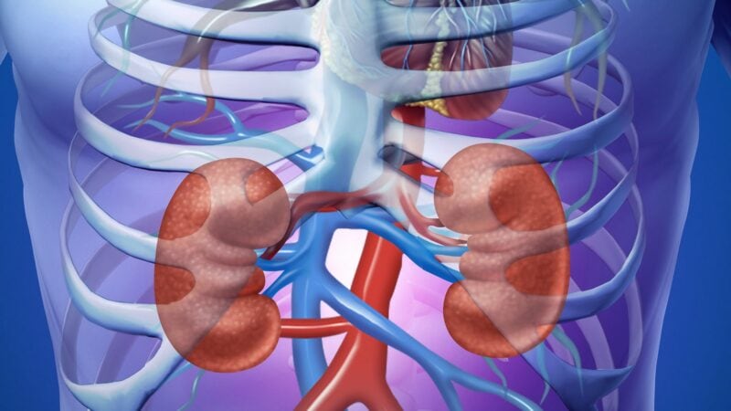 What are the symptoms of cysts in the kidneys?