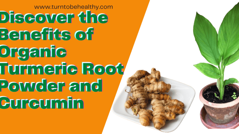 Discovering the Powerful Health Benefits of Turmeric and Curcumin