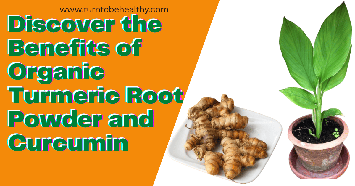 Discovering the Powerful Health Benefits of Turmeric and Curcumin